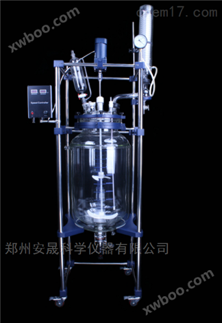 丽水S212-5L自动调速双层玻璃反应釜