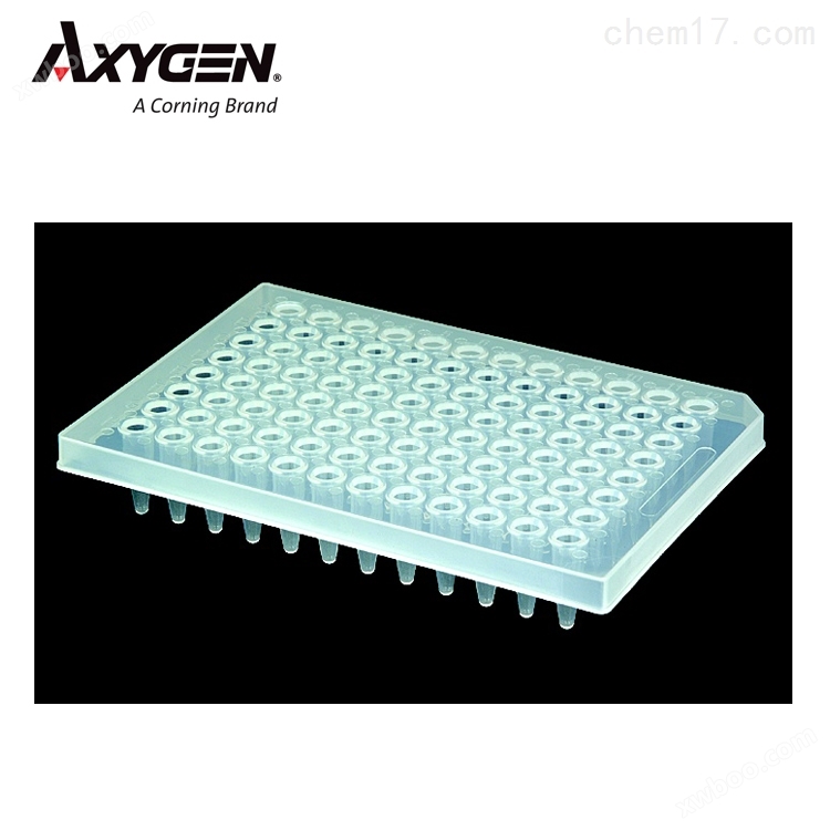 Axygen384孔透明半裙边PCR板培养板