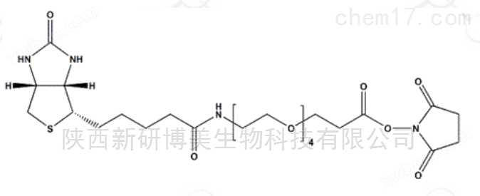 Biotin-PEG4-NHS Ester; CAS：459426-22-3