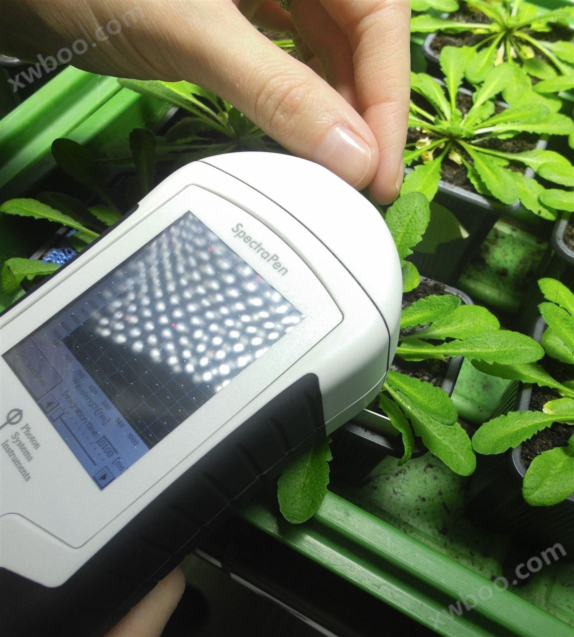 SpectraPen SP110手持式植物光谱仪