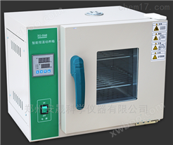 303-2AB不锈钢电热恒温培养箱