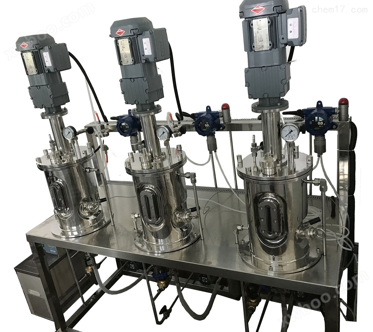 实验室厌氧发酵产沼气设备 *