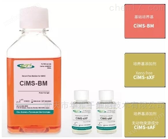 CSTI CIMS-BM MSC无血清培养基