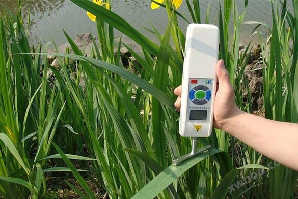 茎杆弯折测量仪YYD-1农作物茎杆强度测定仪