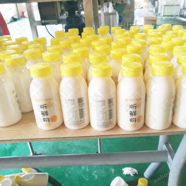 脱脂奶豆腐生产机器 乳品生产线