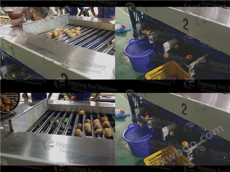 土豆芋头萝卜红薯果蔬清洗分级挑选生产线 洗薯机