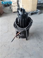 液下污水泵WQ15-20-2.2_小型污泥泵