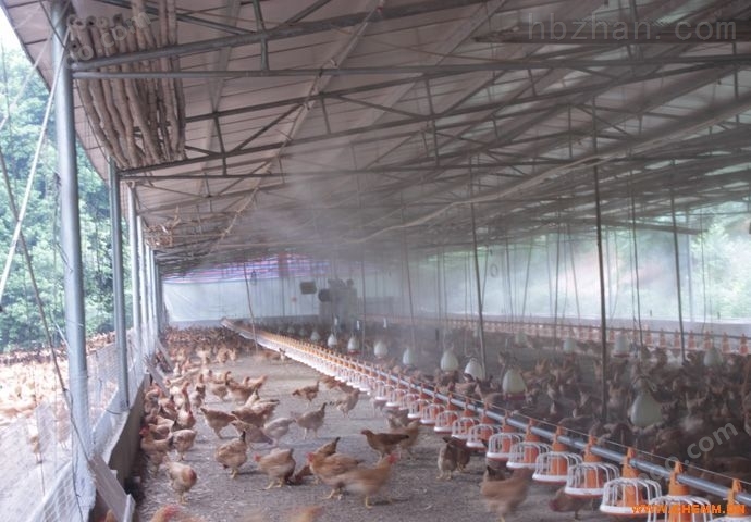 养鸡场喷雾降温除臭消毒设备