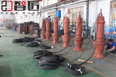 天津智匠泵业500QZB潜水轴流泵型号大全