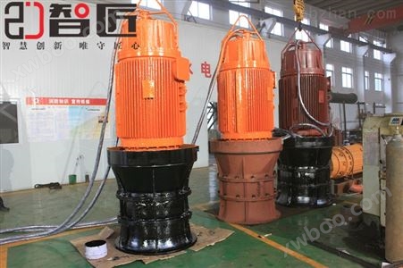 天津智匠泵业500QZB潜水轴流泵型号大全