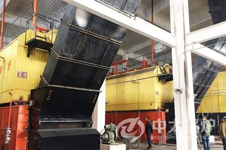 中太厂家供应10吨双锅筒生物质锅炉