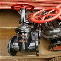 六安供应 Z41T-10 DN250 明杆铜芯防护闸阀