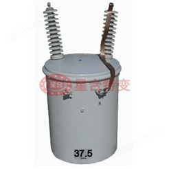 37.5kv单相柱上式配电变压器