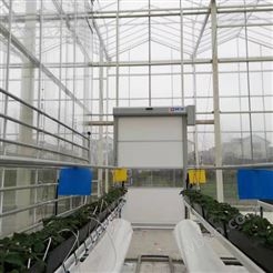 上海蔬菜植物培育大棚智能快速卷帘门