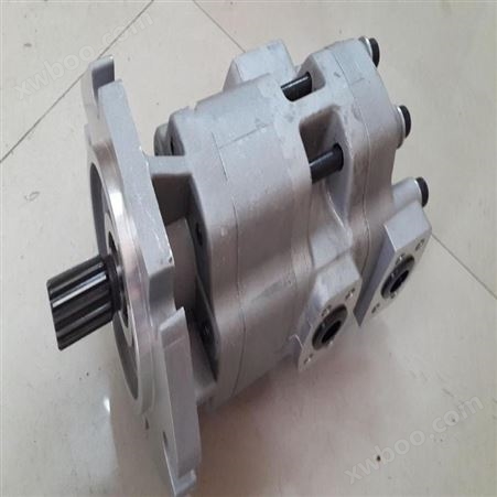 不锈钢齿轮泵 转子泵与齿轮泵 齿轮油泵