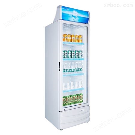 单门冷藏展示柜 立式商用冰柜保鲜
