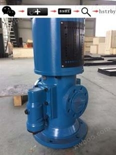 黄山铁人燃油泵螺杆泵HSNS210-46工业泵黄山