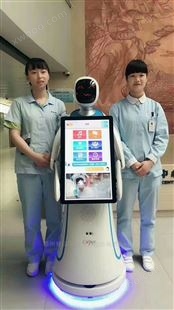 北京*医院医疗导医问诊迎宾接待机器人