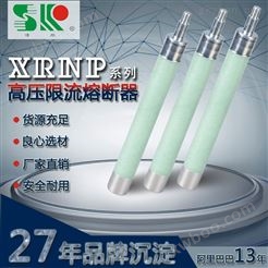 XRNP4-12/0.5-3.15A 电压互感器 高压熔断器