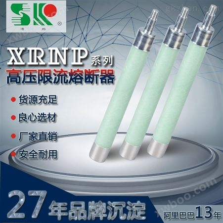 XRNP4-12/0.5-3.15AXRNP4-12/0.5-3.15A 电压互感器 高压熔断器