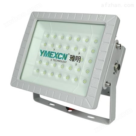 YMD-A厂用免维护防爆LED灯100W200W300W