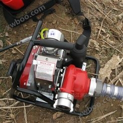 加拿大WICK250便携式消防水泵 高压森林水泵